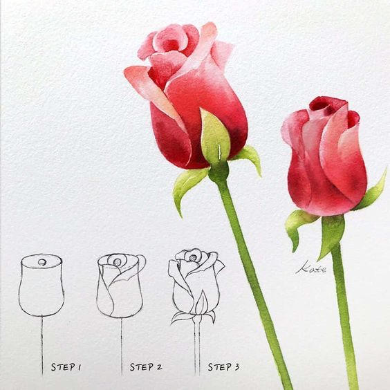 Step-by-step watercolor rose painting tutorial, showing three stages of drawing a blooming rose flower.