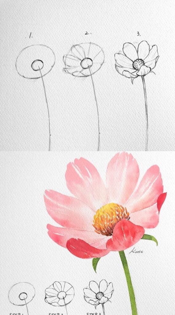 Step-by-step watercolor flower painting tutorial: sketches to the finished pink bloom with green stem and yellow center.