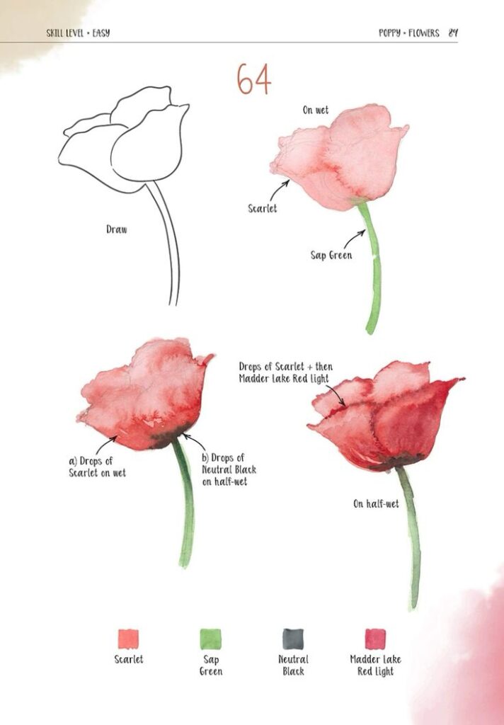 Step-by-step tutorial on painting a watercolor poppy flower using shades of red and green on wet and half-wet paper.