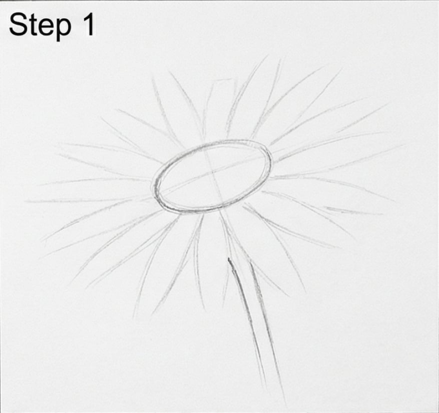 Pencil sketch of a daisy outline: oval center, lightly sketched radiating petals and a curved stem – step 1 drawing tutorial