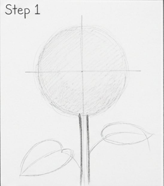Step 1 pencil sketch tutorial: round tree/flower outline with center guide lines, stem and two simple leaves.