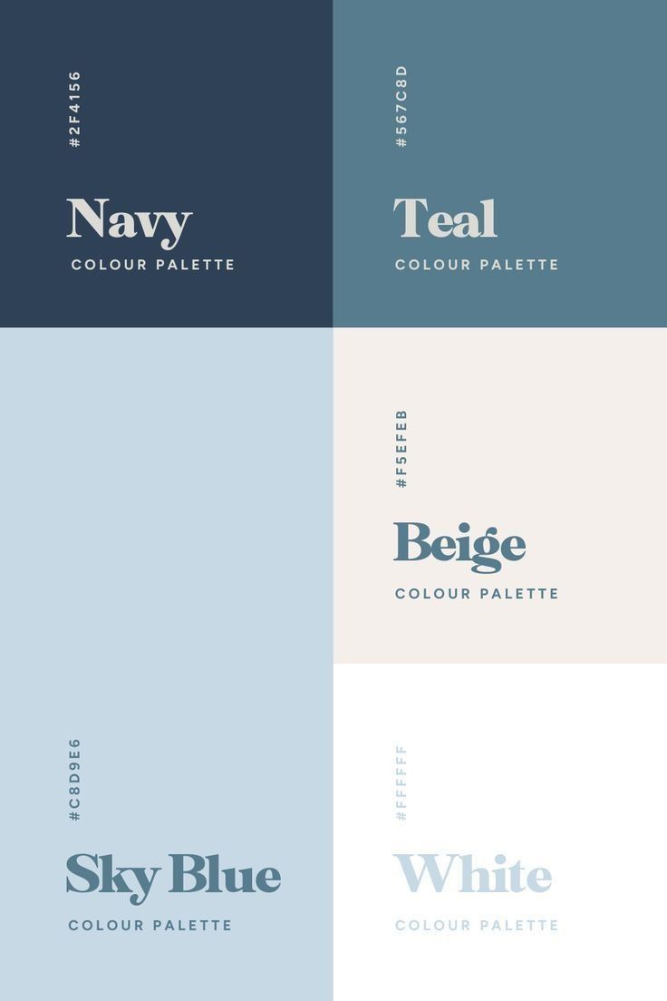 Unlocking the Secrets of Color Theory in Web Design