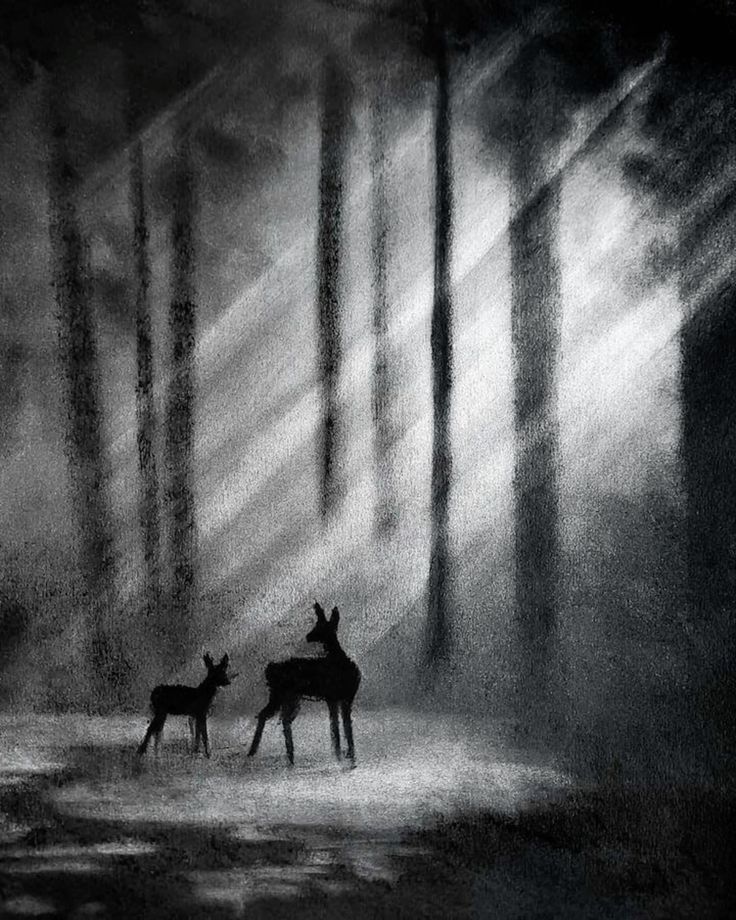 Silhouetted deer in a misty forest with sunbeams filtering through trees, creating a serene, mystical scene.