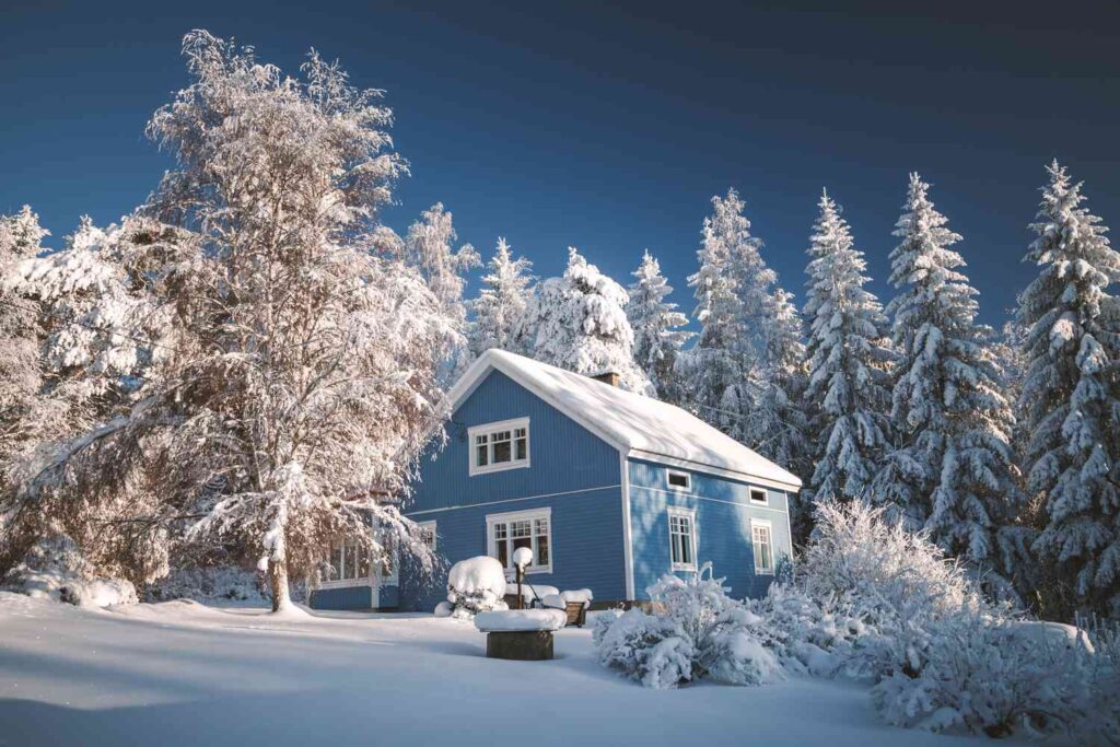 Blue house surrounded by snow-covered trees in a winter landscape under a clear blue sky.