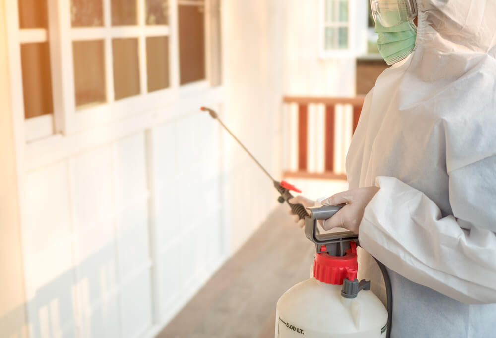 Person in protective gear using a sprayer for pest control or sanitation near a building exterior in sunlight.