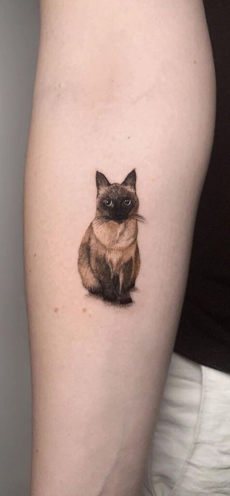 Realistic Siamese cat tattoo on forearm, showcasing intricate detail and artistry.