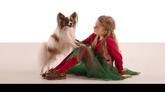 Child in red and green outfit sitting with a Papillon dog on light background.