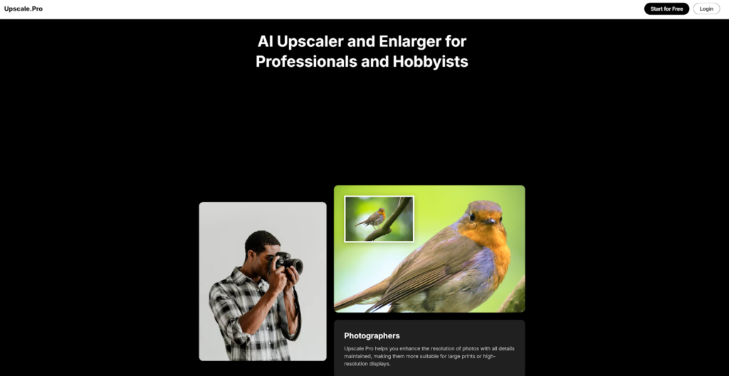 Photographer using AI upscaler for high-resolution bird image enhancement, ideal for professionals and hobbyists.