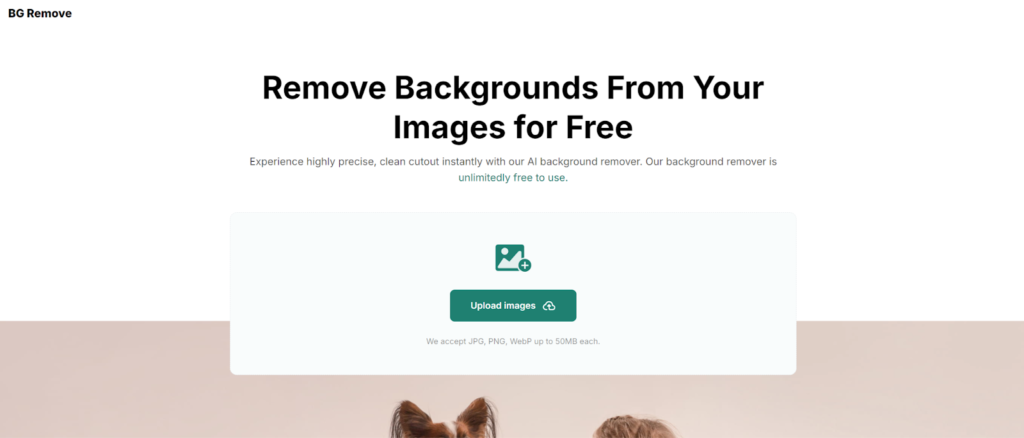 Free AI background remover tool webpage for precise image editing. Upload JPG, PNG, WebP files up to 50MB.