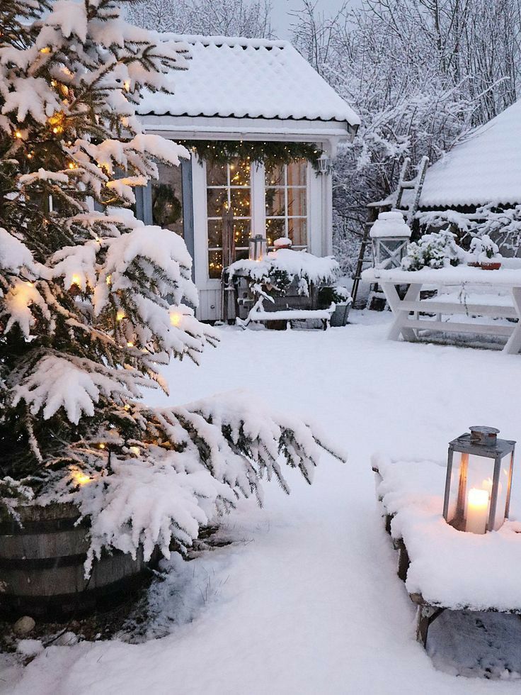 Snow-covered cozy cabin with lit Christmas tree and lantern in winter wonderland setting.