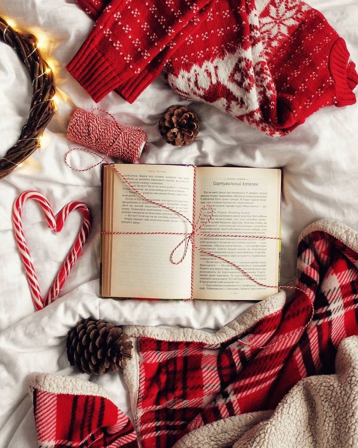 Cozy winter scene with a book, red sweater, plaid blanket, candy canes, and pine cones on a soft white surface.