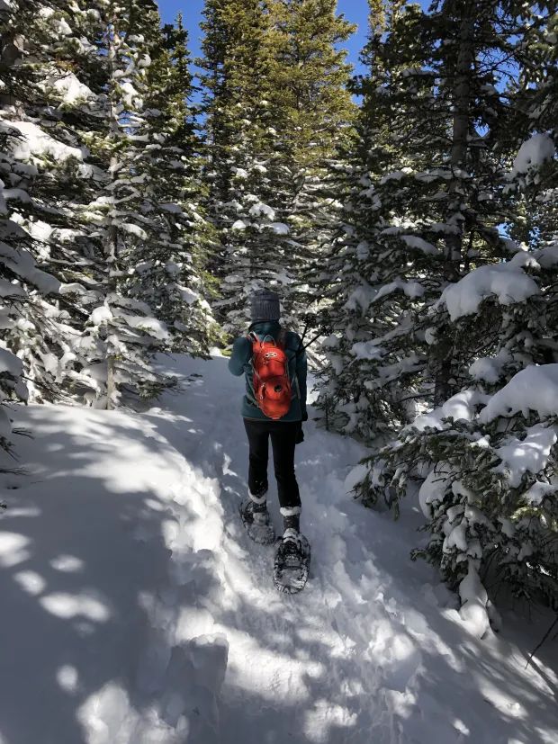 Person snowshoeing on a snowy forest trail, wearing winter gear and a red backpack.