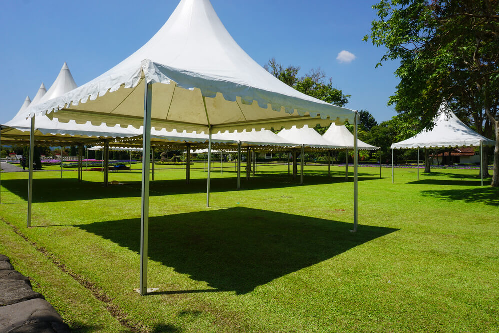 White event tents on a sunny day, set up in a grassy park with blue skies and trees in the background.