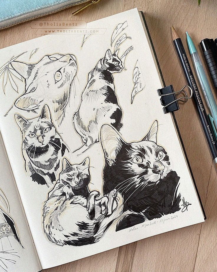 Sketchbook filled with detailed cat illustrations, pencils, and pens on a wooden surface.