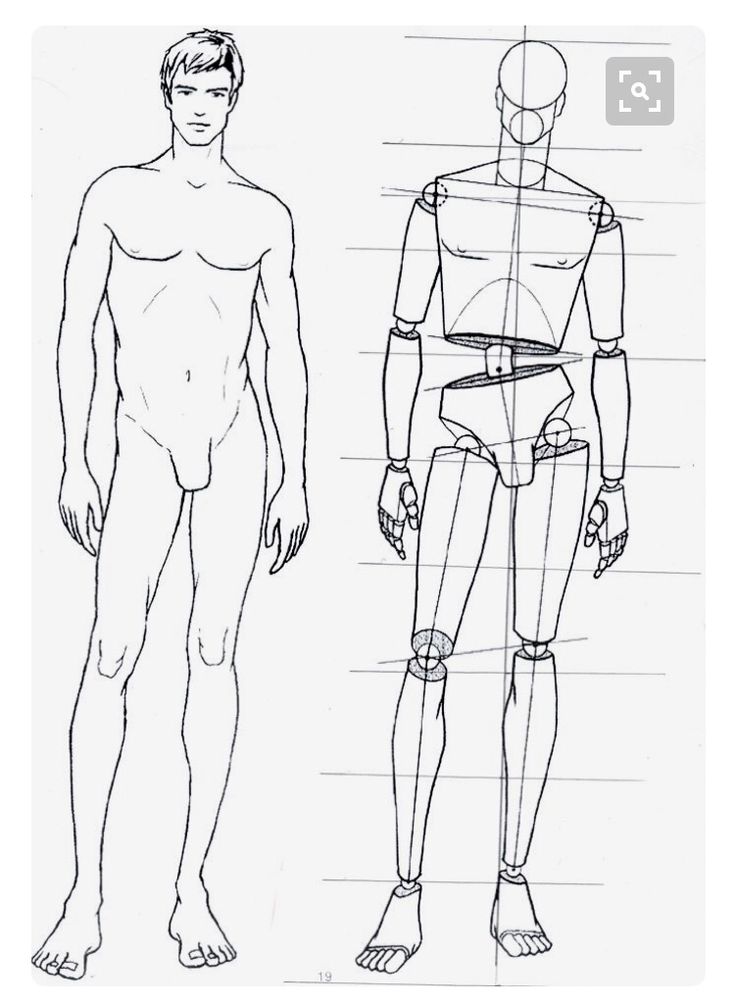 Male artistic anatomy sketch with detailed proportions and structural lines for drawing practice.