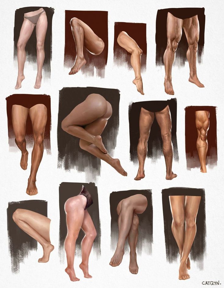 Anatomical study of muscular legs in various poses and angles on a textured background.