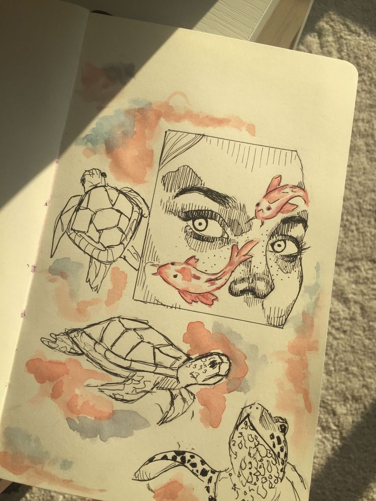 Sketchbook art with turtles, fish, and a face, surrounded by watercolor splashes.