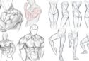 Parts of Body Drawing: Essential Techniques for Artists