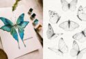 Butterfly Drawing: Simple Steps for Stunning Results