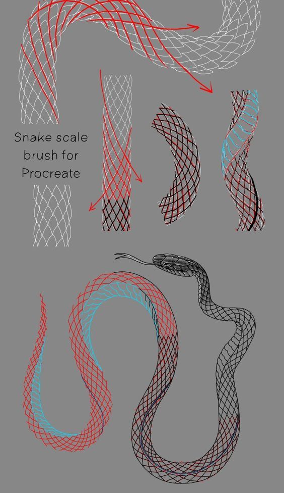 Snake scale brush tutorial for Procreate, showcasing design steps and pattern variations on a gray background.