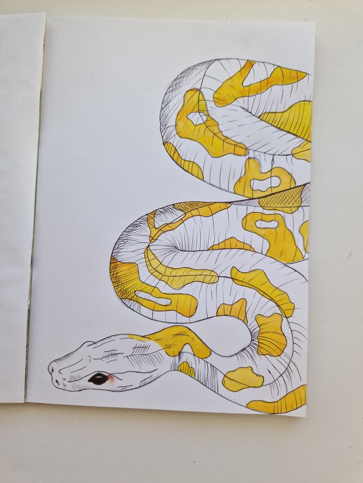 Drawing of a yellow and white snake with black outlines on paper, showcasing unique patterns and texture.