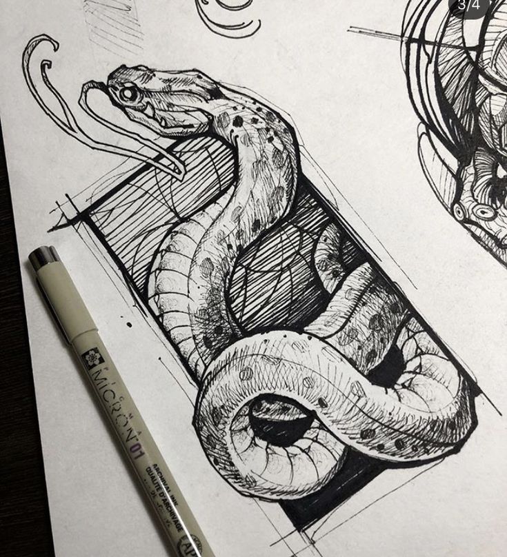 Detailed snake illustration on sketchbook with pen; artistic black and white ink drawing of a coiled serpent.