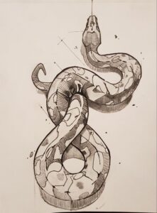 Drawing Snakes: Techniques and Tips for Realistic Art | Sky
