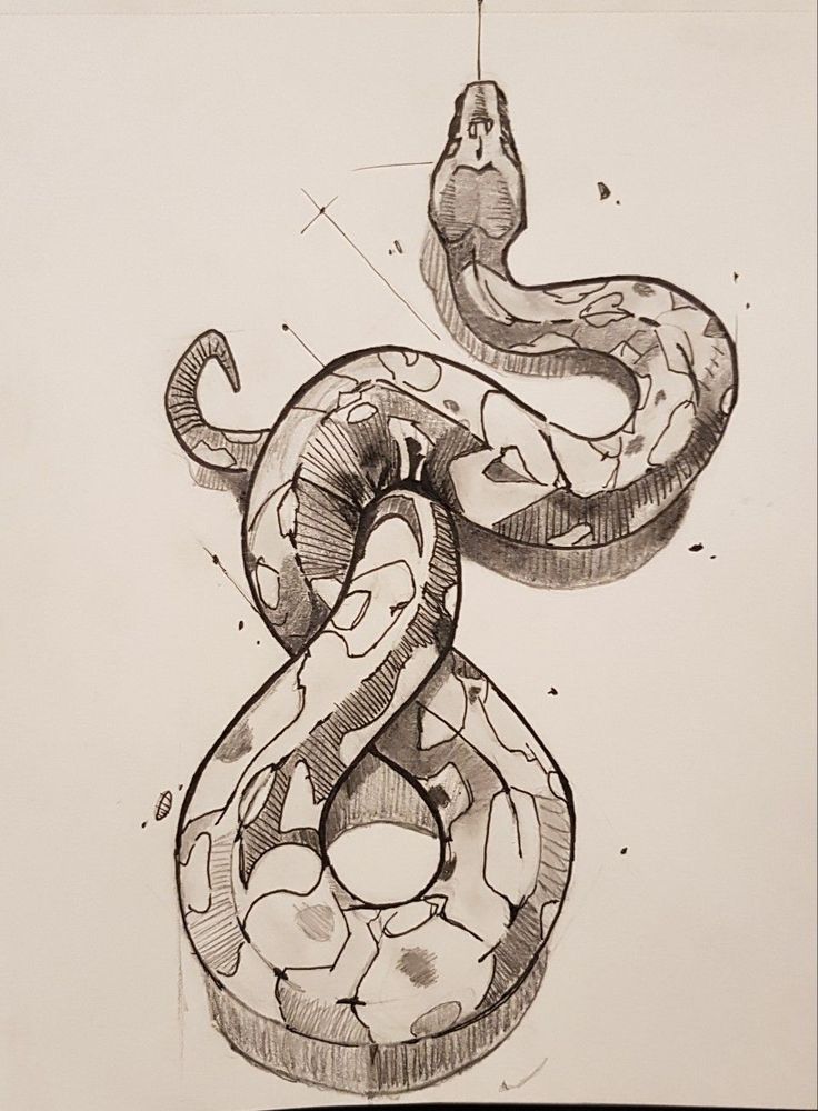 Pencil drawing of a coiled snake with detailed shading and patterns on its body, showcasing artistic techniques.