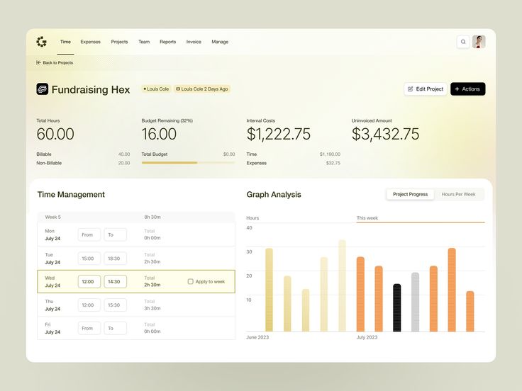 Dashboard showing time management, budget data, and graph analysis for a project named Fundraising Hex.