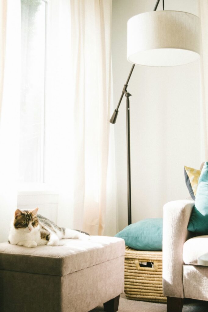 Cozy living room with a cat lounging on an ottoman next to a floor lamp and comfy chair with pillows.