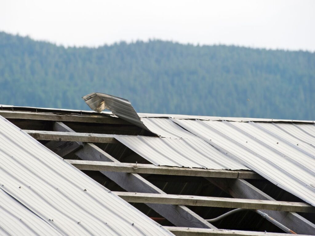 Damaged metal roof with exposed wooden beams against a forest backdrop.