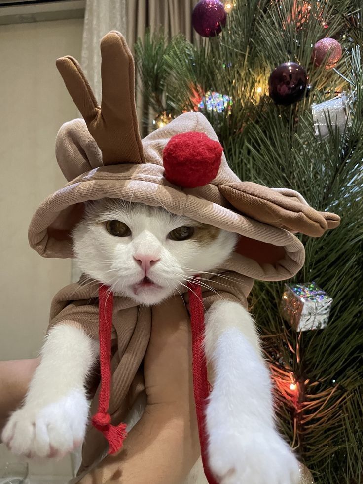 Cat in reindeer costume near Christmas tree with ornaments.