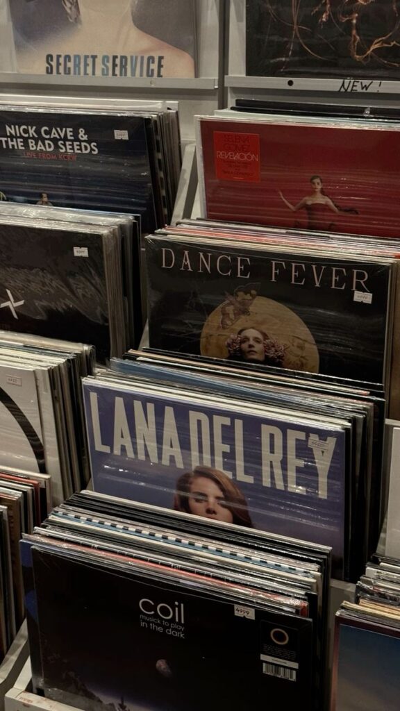 Vinyl records display featuring various artists including Lana Del Rey and more at a music store.