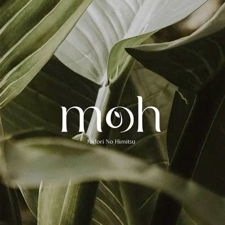 Tropical leaves with the text moh Midori No Himitsu overlaid, creating a natural and mysterious vibe.