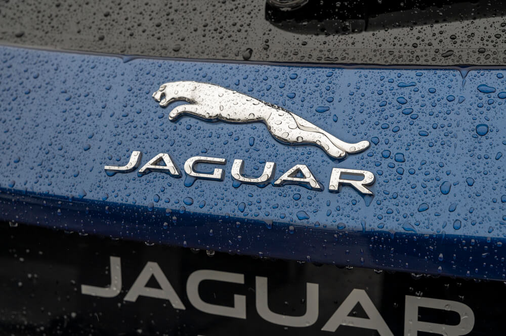 Jaguar car logo on blue surface with raindrops, showcasing elegance and luxury vehicle branding.