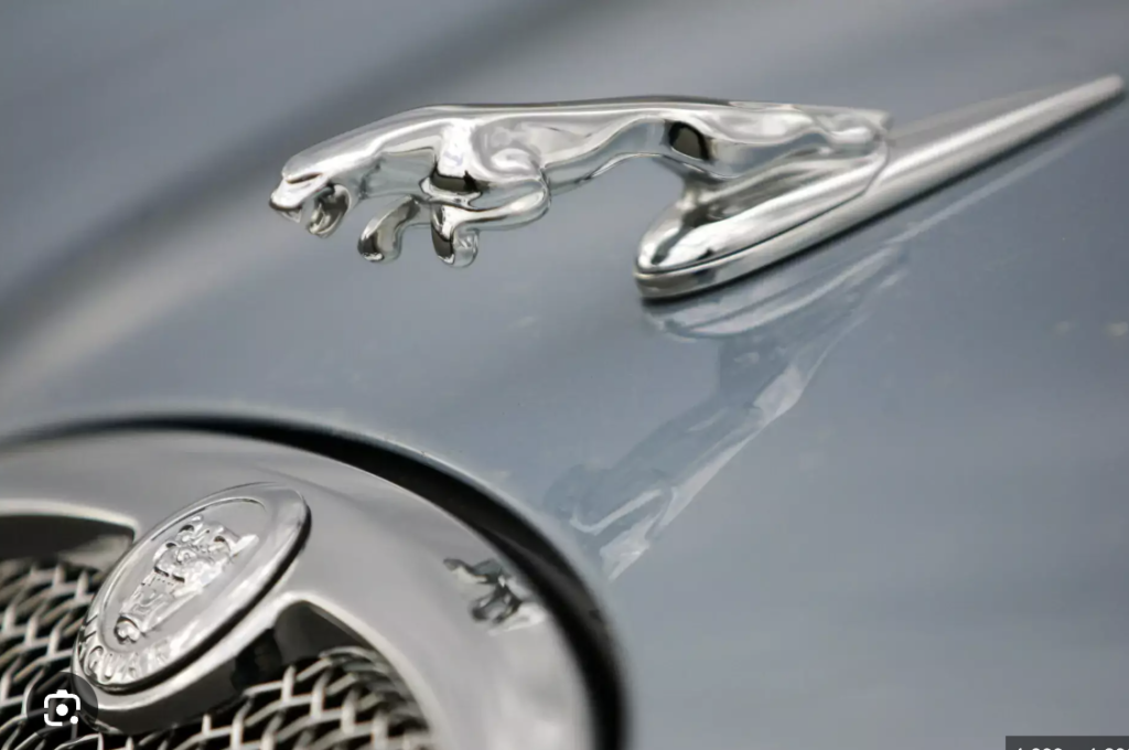 Close-up of a sleek chrome jaguar hood ornament on a luxury car, symbolizing elegance and speed.