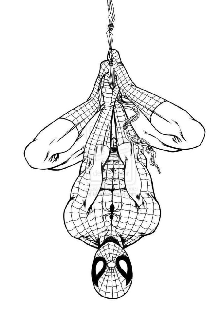 Spider-themed superhero hanging upside down on web, black and white line art illustration.