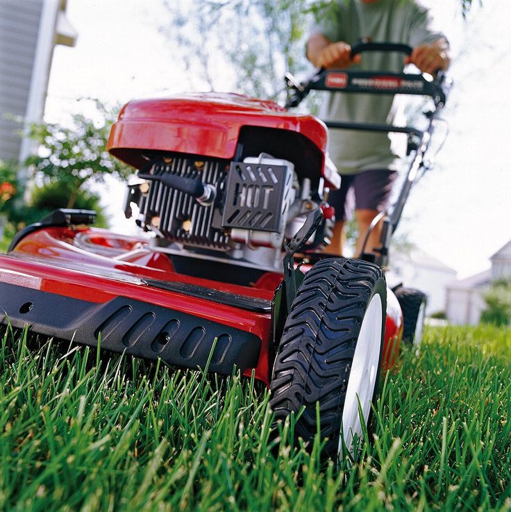 Red lawn mower cutting vibrant green grass on a sunny day. Focus on grass and mower details.