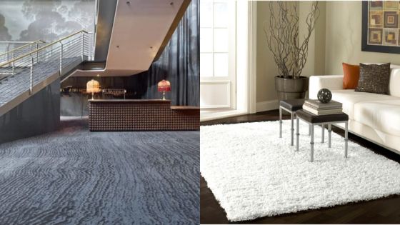 Modern interior spaces with contemporary carpet and elegant white rug in a living room setting.