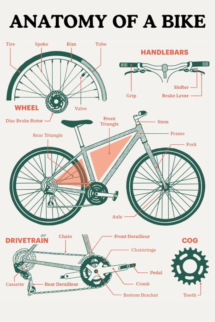 Diagram showing labeled parts of a bicycle: wheel, handlebars, frame, drivetrain, cog.