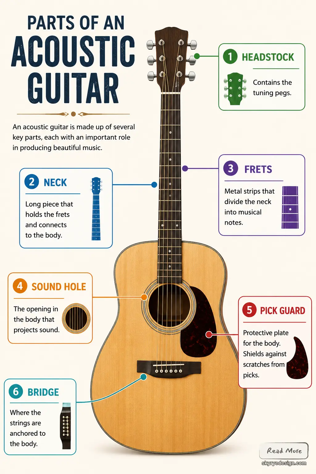 Infographic of acoustic guitar parts: headstock, neck, frets, sound hole, pickguard and bridge labeled.