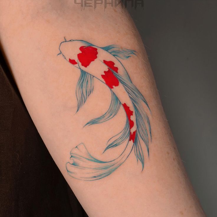 Tattoo of a koi fish with red and blue accents on an arm.