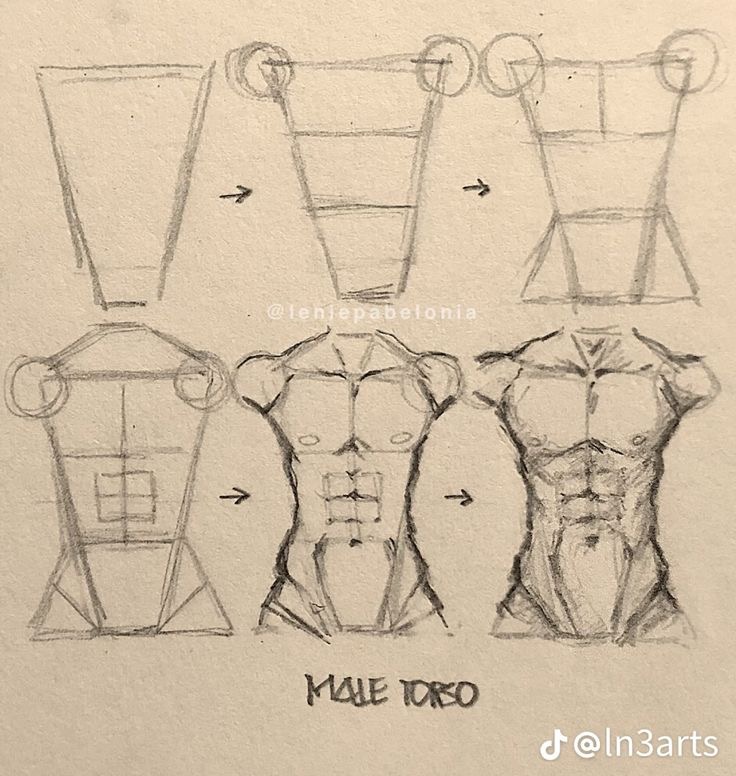 Step-by-step male torso drawing tutorial, showing progression from basic shapes to detailed anatomy.