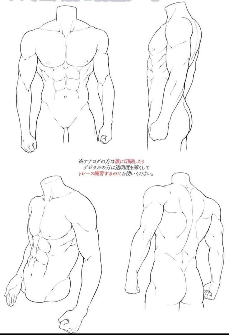 Anatomical Drawing of Human Body: Art Meets Med Science