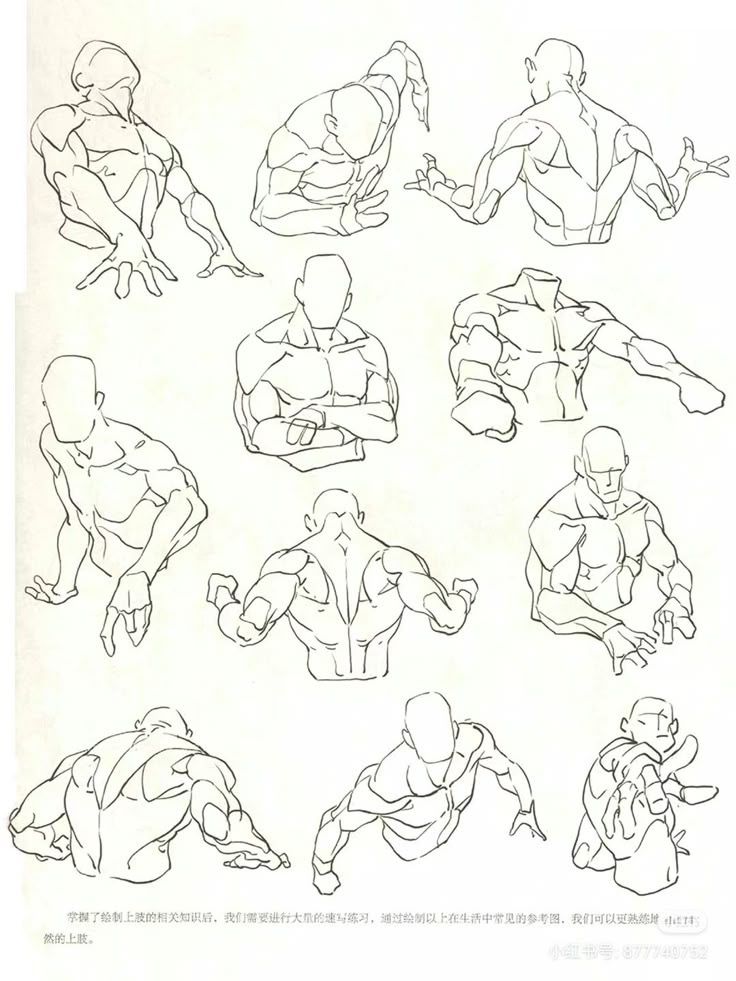 Dynamic sketch forms of human figures in various poses, ideal for anatomy and gesture drawing reference.