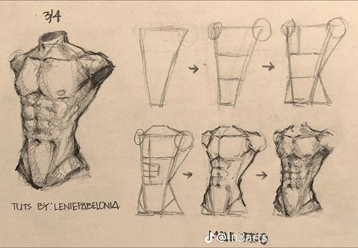 Drawing tutorial for creating a muscular male torso, featuring step-by-step sketch progression from basic shapes to details.