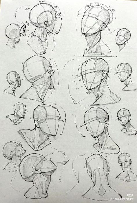 Sketches of a human head from various angles with construction lines for art anatomy study.