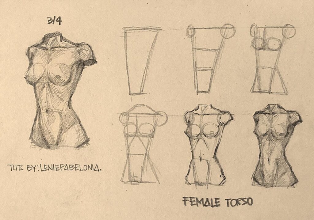 Sketch tutorial of female torso, anatomy steps, artistic drawing guide, figure illustration.