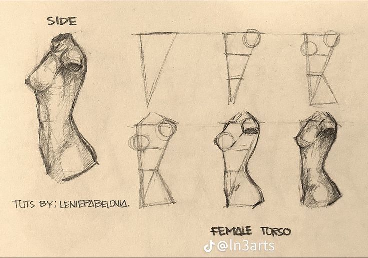 Sketch tutorial showing steps to draw a female torso from the side, including initial shapes and final shading.