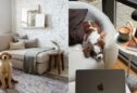 5 Top Tips for Finding the Balance Between Interiors and Pet Compatibility